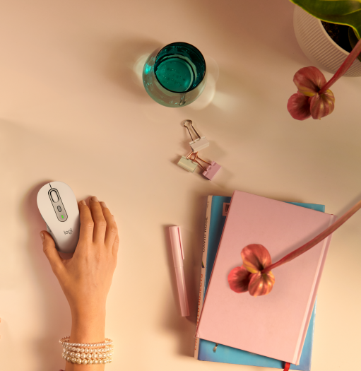 Signature M650 (Bild: Logitech)